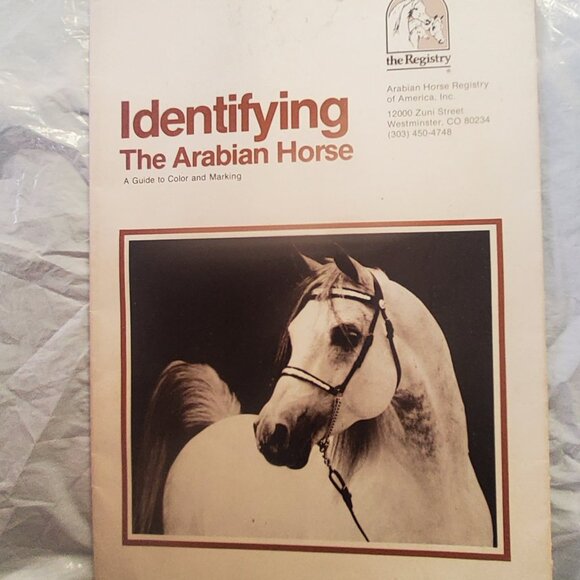 VINTAGE HORSE HANDLING BOOK plus extra booklet - Picture 9 of 12